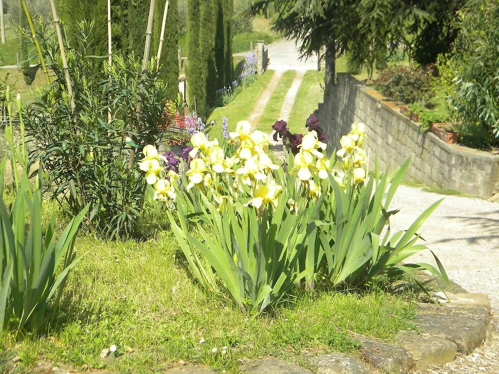 Azienda Agricola Il Chiuso Villa Vicchio 0*,